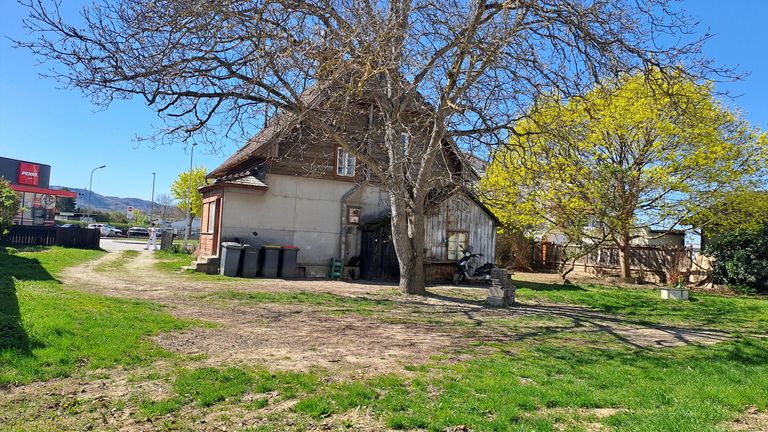 Schattenspender vorhanden