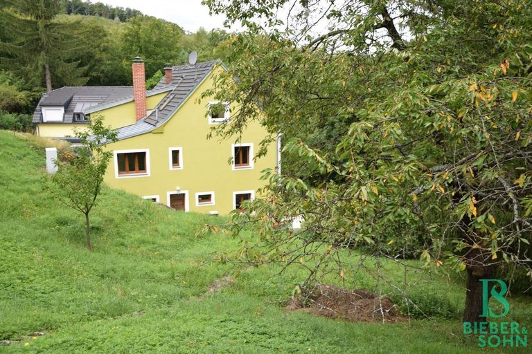 Hausansicht Gartenseite