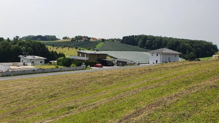 20240621_114855_resized