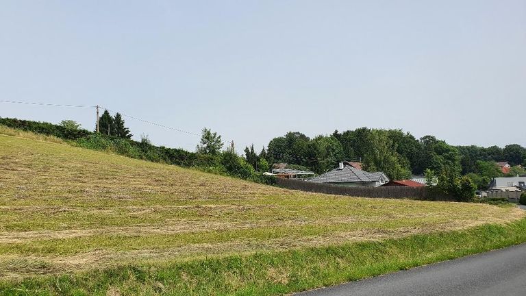 20240621_115240_resized