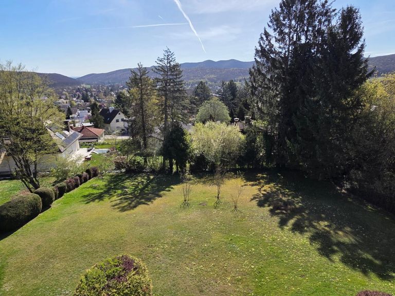 Blick in den Garten
