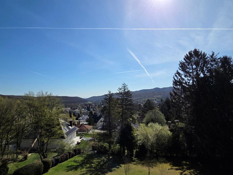 Ausblick