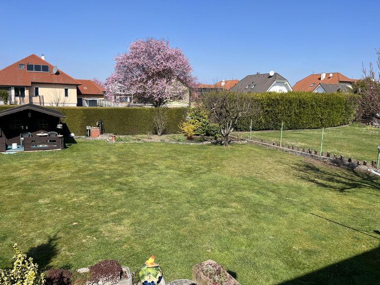 Gartenansicht von der Terrasse