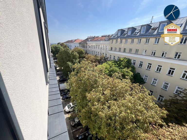 über den Kastanienbäumen