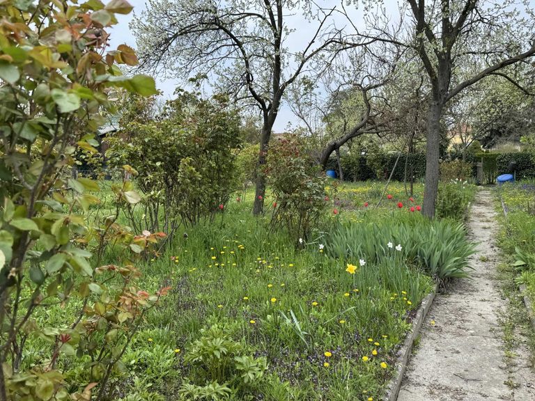 02. Kleingartengrundstück 2100 Korneuburg