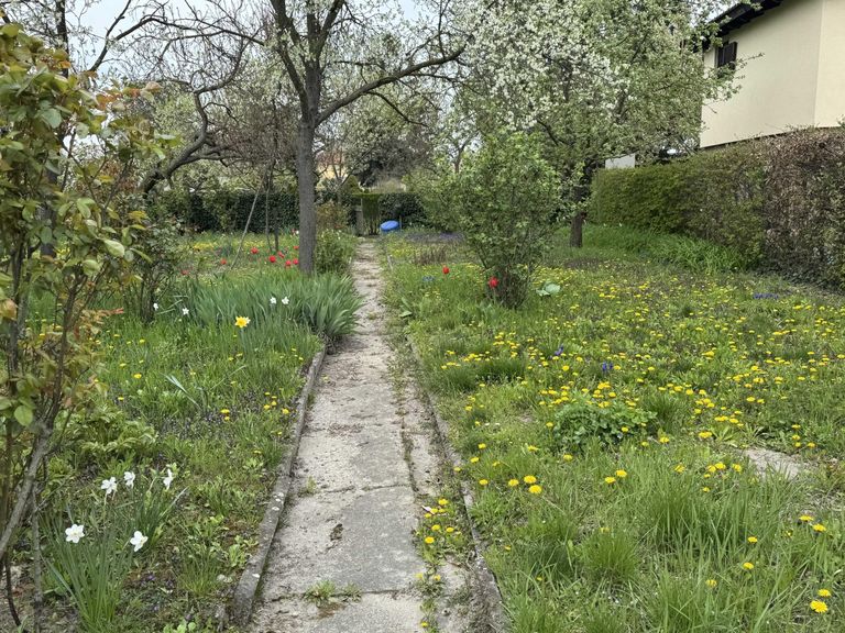 04. Kleingartengrundstück 2100 Korneuburg