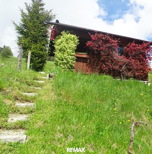 Gartenhaus/ garden