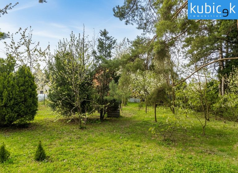 Garten Richtung Süden