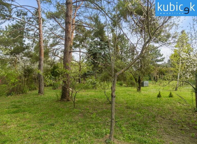 Garten Richtung Norden