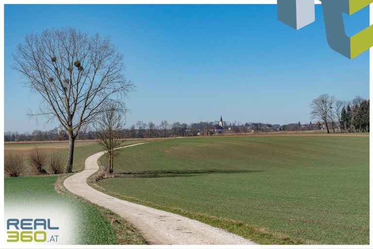 Spazierweg nach Thening