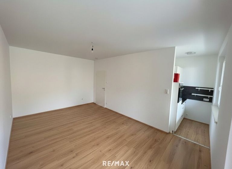 Wohn-/Essbereich samt Kochnische