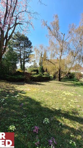 ob blickdicht oder offen- alles geboten