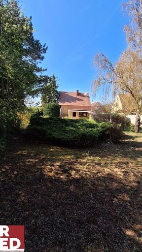 Geschützt vor Blicken