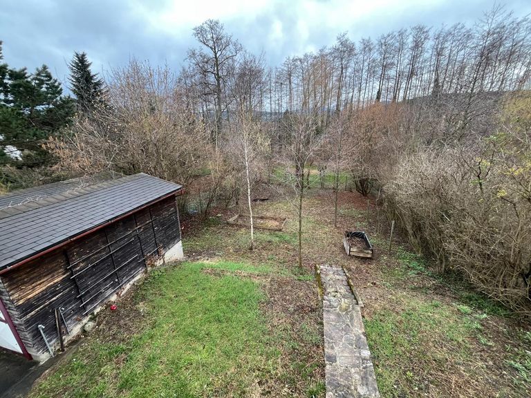 Blick in den Garten