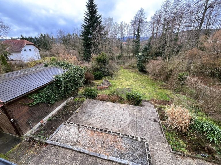 Blick in den Garten