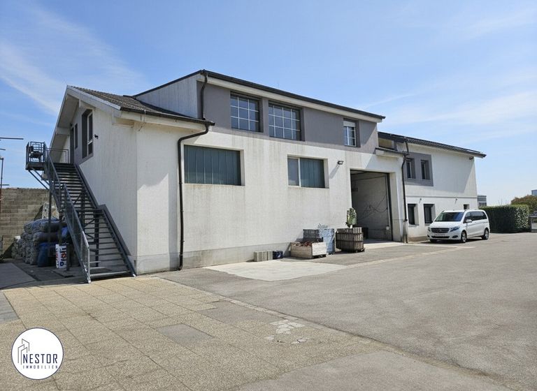 NESTOR Immobilien