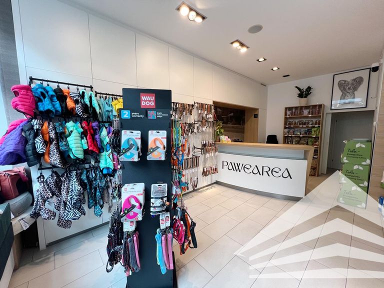 Verkaufsraum aktuell