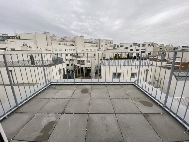 Dachterrasse 1
