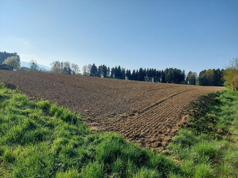 Ansicht 1