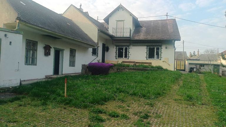 Blick vom Garten zum Haus