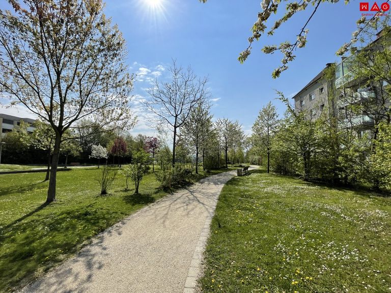 Weg Richtung Park