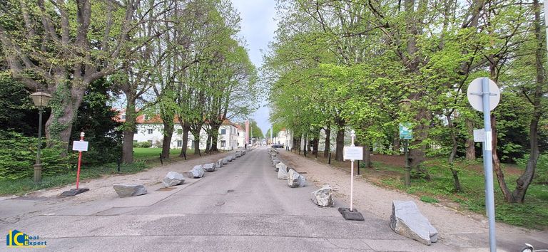 Lindenallee beim Schloss Hetzendorf