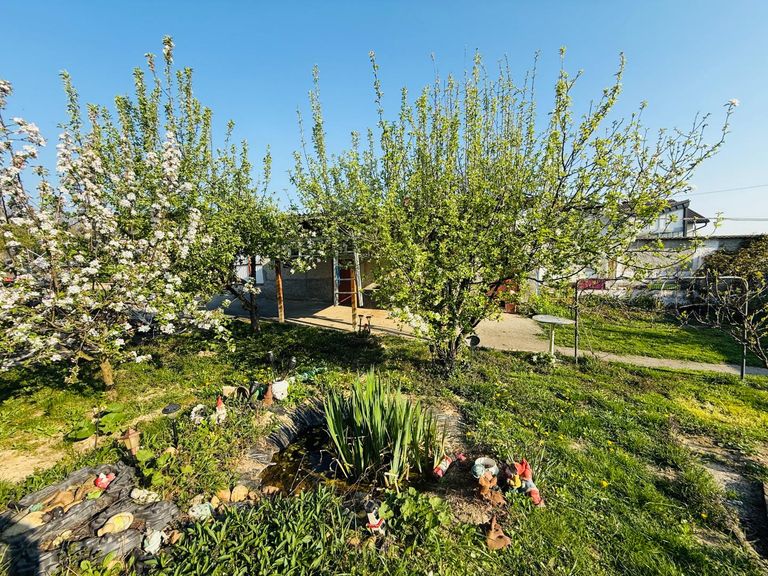 schön angelegter Garten