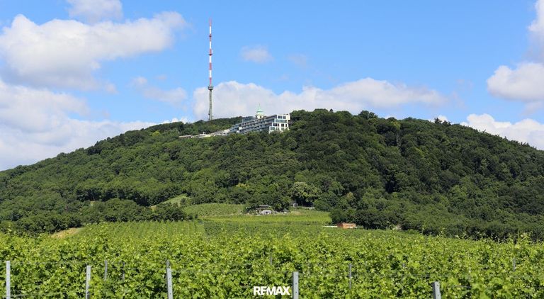 28 Kahlenberg