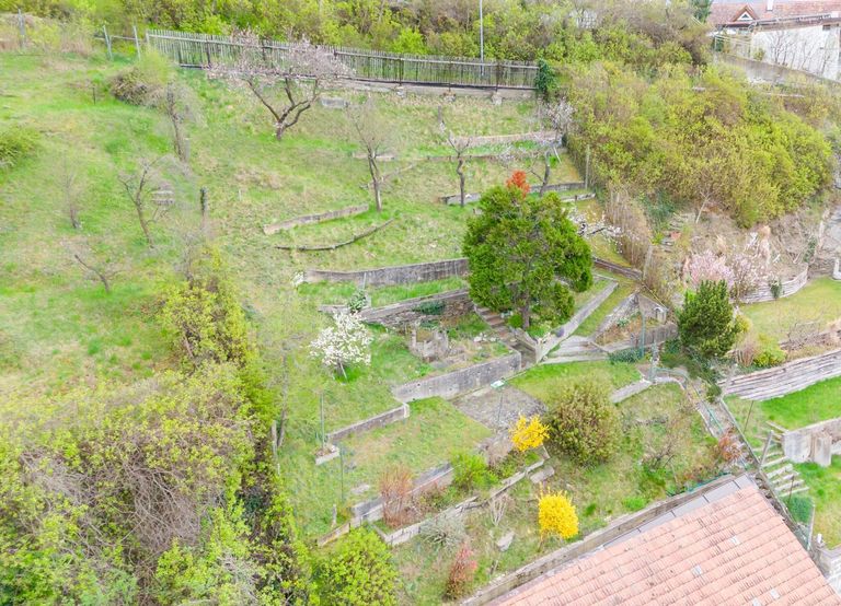 Garten I