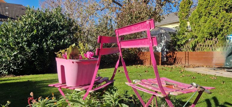 -20000279_1004127687_16255164