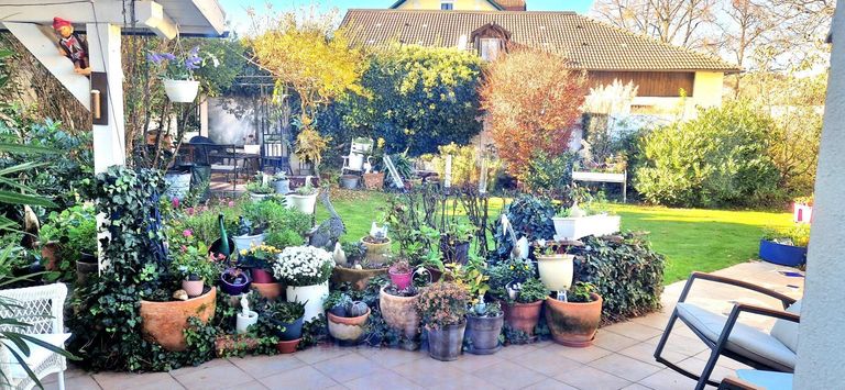 -20000279_1004127687_16255181