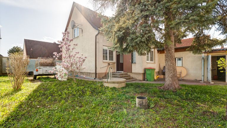 Garten blick zum Haus