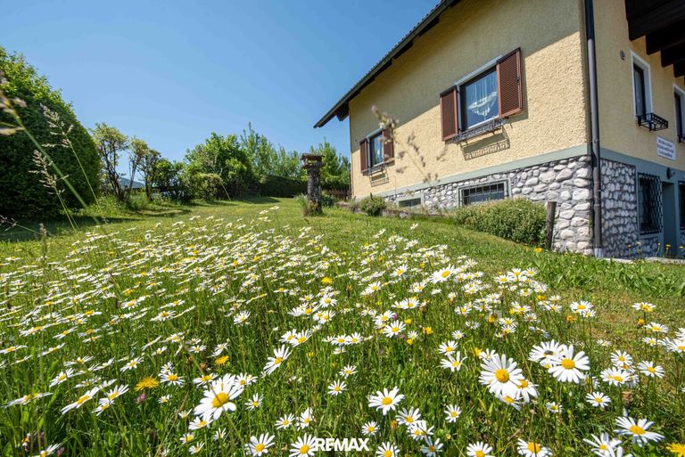 viel Grün
