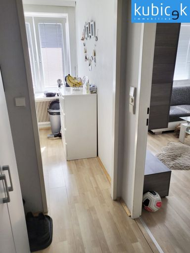 Vorraum  mit Blick in die Küche u. Wohn-/Schlafraum