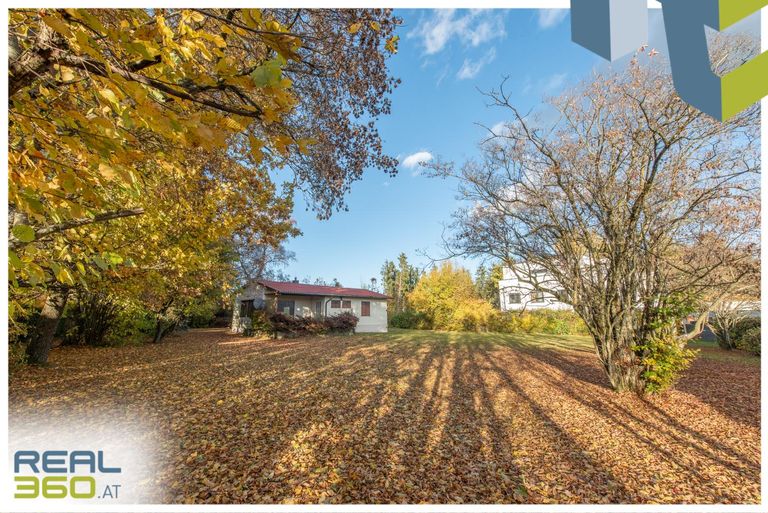 Blickrichtung Nord vom südlichem Ende des Grunds