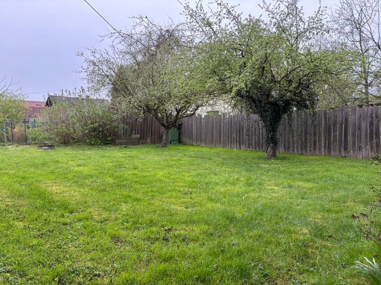 Garten 1