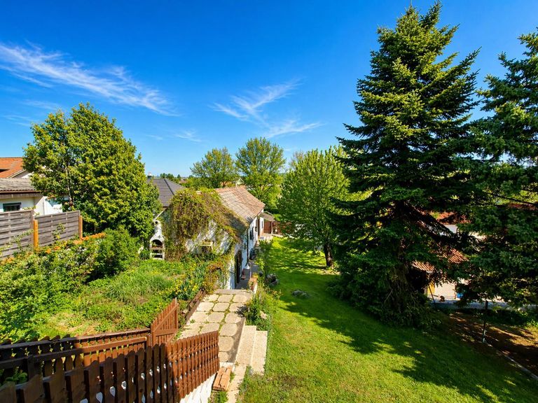 Blick in den Garten