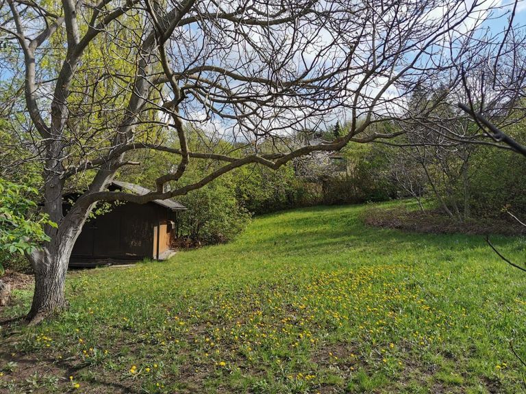 01 Baugrund Riederberg