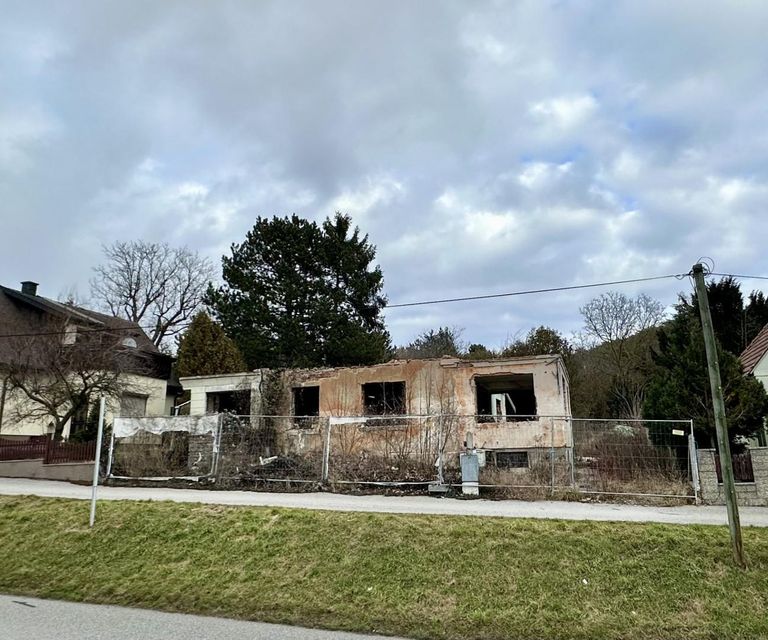 Altbestand