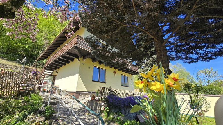 21 Garten