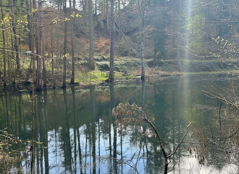 Teich