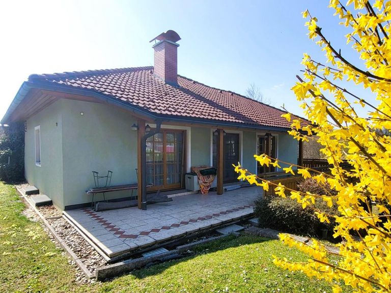 Rückwärtige Gartenansicht