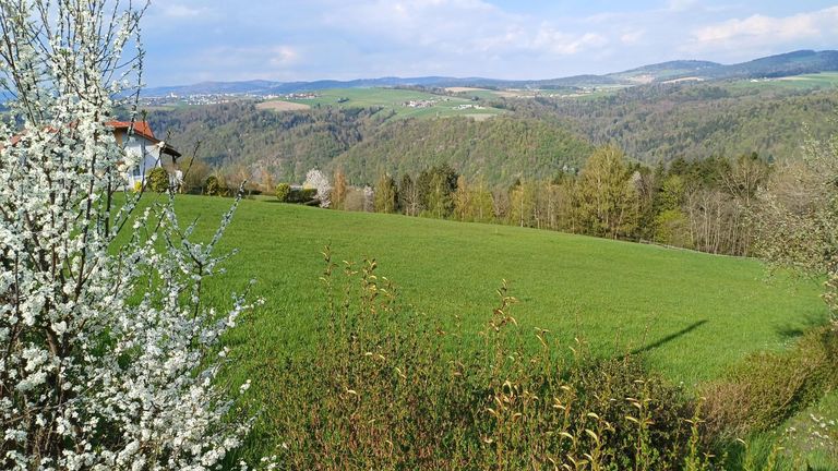 Grundstück (1)