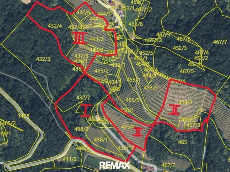 Gis-Gesamtfläche mit ungefähren Grenzverlauf und Z