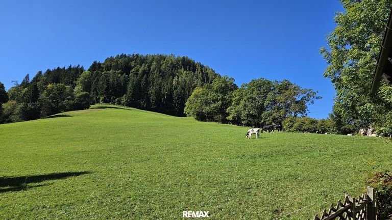 Wiese im Südwesten