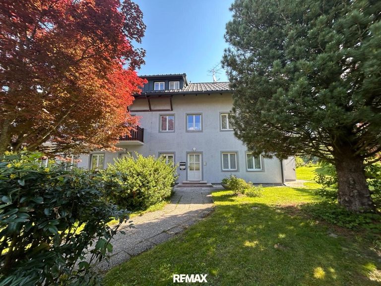 Der Gemeinschaftsgarten