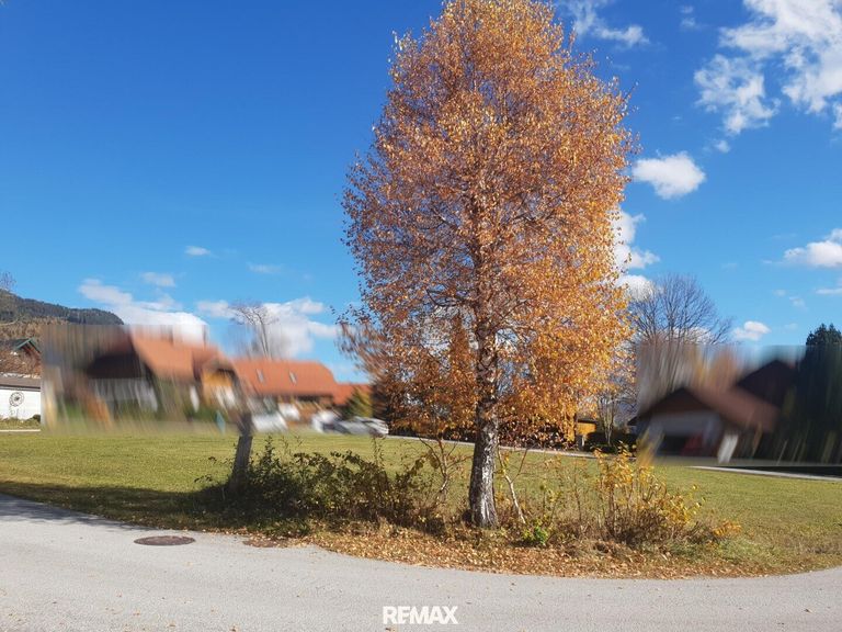 Das Grundstück von südwestlicher Seite gesehen