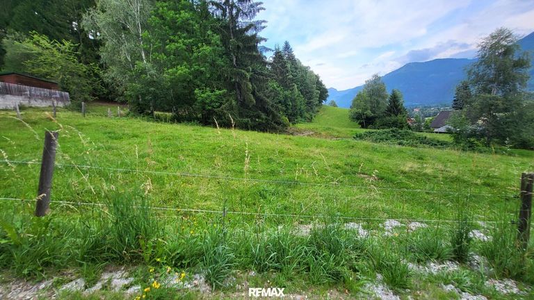 Bau- und Freiland, Blick Rtg. Osten