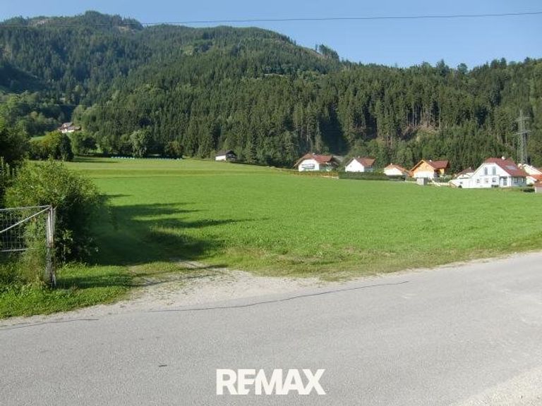 Grundstück Blick Richtung Nordost