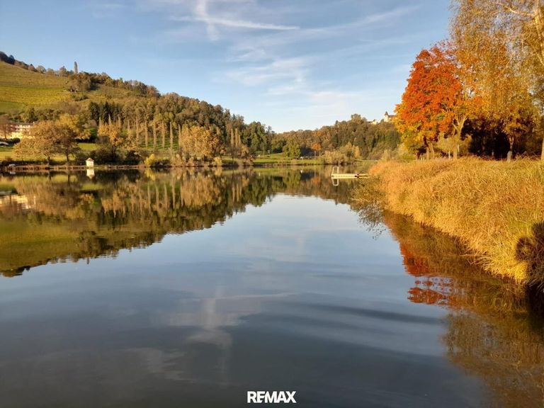 Sulmsee11
